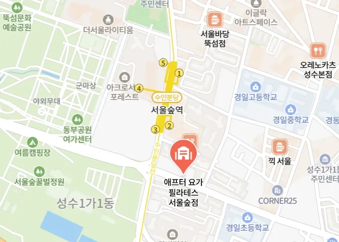 애프터 요가&필라테스 서울숲점 위치 지도